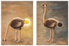 Cartoon: Ostrich (small) by menekse cam tagged political,politics,politisch,ostrich,turkey,status,akp,elections,bulb,emblem,government,party,condition