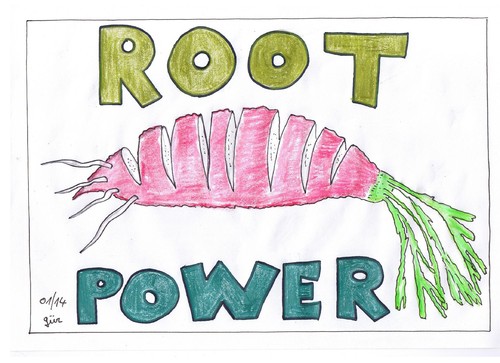 Cartoon: ROOT POWER (medium) by skätch-up tagged roots,vegetarian,vegan,food,carrots,reddish,potatos,health