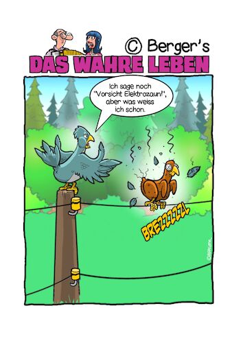 Cartoon: Elektrisch (medium) by Chris Berger tagged elektrozaun,vogel,grill,elektrozaun,vogel,grill