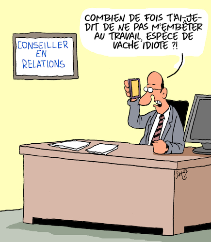 Conseiller en Relations