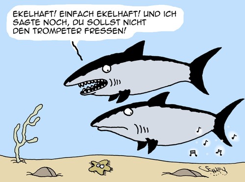 Cartoon: Haste Töne... (medium) by Karsten Schley tagged musik,musiker,natur,ozeane,tiere,haie,nahrung,jagd,musik,musiker,natur,ozeane,tiere,haie,nahrung,jagd