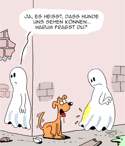Hunde sehen das