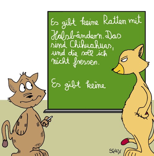 Cartoon: Katzen (medium) by Karsten Schley tagged bildung,schule,bildungssystem,schulsystem,pisa,tiere,schüler,katzen,haustiere,hunde,chihuahuas,bildung,schule,bildungssystem,schulsystem,pisa,tiere,schüler,katzen,haustiere,hunde