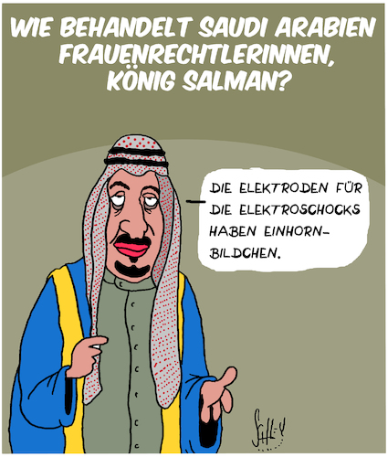 Cartoon: Saudi Arabien (medium) by Karsten Schley tagged saudi,arabien,könig,slman,frauenrechte,politik,folter,erdöl,wirtschaft,religion,islam,demokratie,menschenrechte,gesellschaft,saudi,arabien,könig,slman,frauenrechte,politik,folter,erdöl,wirtschaft,religion,islam,demokratie,menschenrechte,gesellschaft