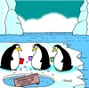 Cartoon: Tee und Kaffee (small) by Karsten Schley tagged natur tiere wildnis antarktis