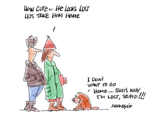 Cartoon: Lost (medium) by John Meaney tagged dog,hat