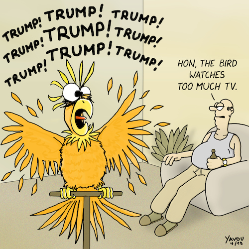Crazy bird Crazy bird