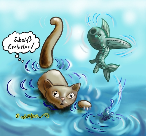 Cartoon: Fliegender Fisch (medium) by KritzelJo tagged katze,nass,fisch,trocken,fliegen,wasser,luft,evolution,evolutionsgegner