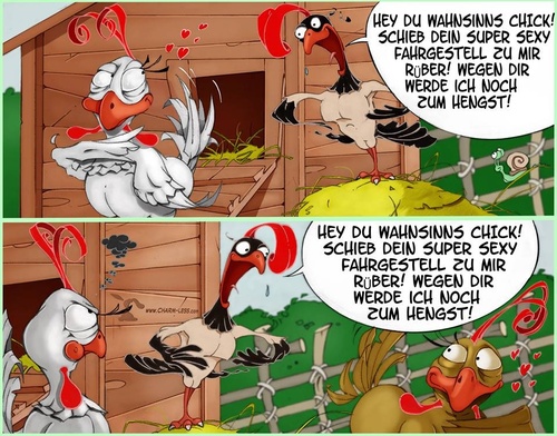 Cartoon: Rein-Brathendel (medium) by Charmless tagged huhn,hahn,männer,typisch,hühnerstall,stroh,hühnerhaus