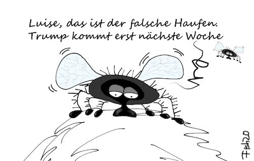 Cartoon: pencesfly (medium) by Fish tagged pence,mike,harris,kamala,trump,wahlen,tv,duell,fliege,fly,kopf,luise,schmeissfliege,haufen,corona,covid,19,twitter