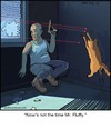 Cartoon: Laser Fluffy (small) by noodles tagged cats,jumping,laser,standoff,gun