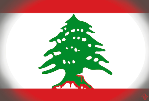 Lebanon Bleeding Cedar Lebanon Bleeding Cedar