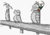 Cartoon: Pirate (small) by julianloa tagged pirate parrot