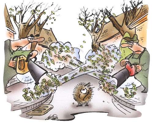 Cartoon: Laubbläserkrieg (medium) by HSB-Cartoon tagged laub,laubbläser,laubsauger,herbstlaub,herbstzeit,baum,bäume,blatt,blätter,laubbeseitigung,laubhaufen,nachbarschaft,nachbarschaftsstreit,nachbarschaftskrieg,laub,laubbläser,laubsauger,herbstlaub,herbstzeit,baum,bäume,blatt,blätter,laubbeseitigung,laubhaufen,nachbarschaft,nachbarschaftsstreit,nachbarschaftskrieg