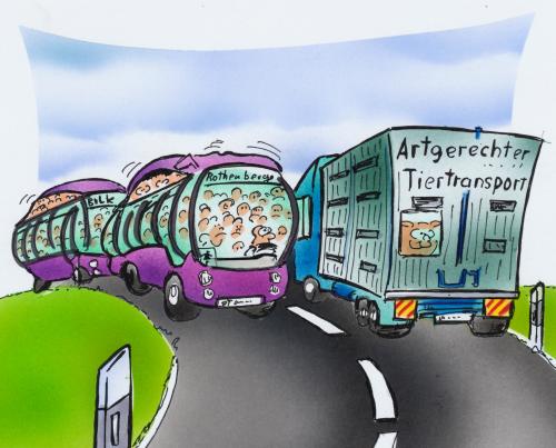 Cartoon: Schülertransport (medium) by HSB-Cartoon tagged schule,schüler,schulbus,tiertransport,schweine,lkw,menschheit,menschen,tiere,tier,transport,arten,artenvielfalt,art,tiertransport,artgerecht,schweine,lkw,lastwagen,auto,autobahn,schule,schüler,schulbus,bus,reisebus,transportmittel,ähnlichkeit,tierschutz,verkehr,moral,ethik