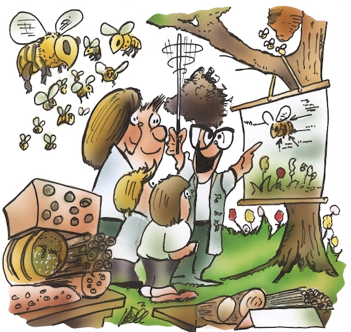 Cartoon: Wildbienenschule (medium) by HSB-Cartoon tagged wildbienen,bienen,imker,honig,natur,naturschutz,insekten,insektenvielfallt,insektensterben,wildbienennest,wildbienenhotel,apoidea,hongbienen,wildbienen,bienen,imker,honig,natur,naturschutz,insekten,insektenvielfallt,insektensterben,wildbienennest,wildbienenhotel,apoidea,hongbienen