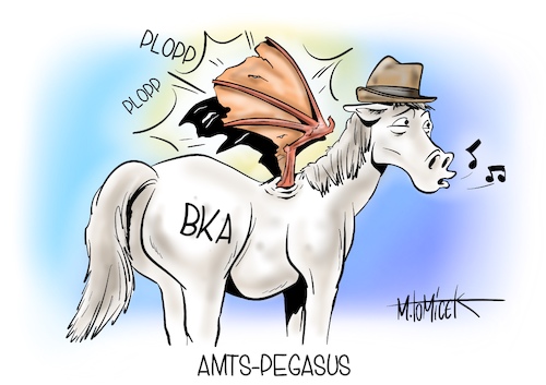 Amts-Pegasus