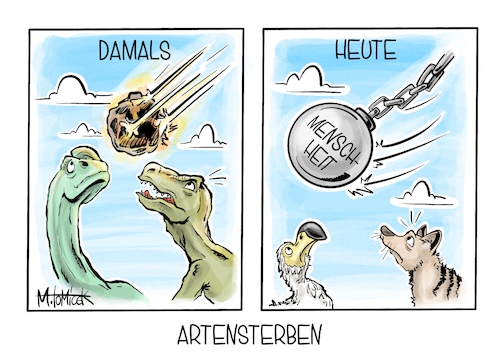 Artensterben