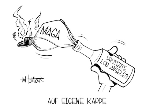 Auf eigene Kappe Auf eigene Kappe