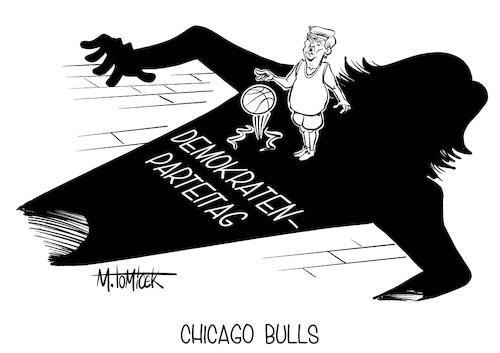 Chicago Bulls Chicago Bulls