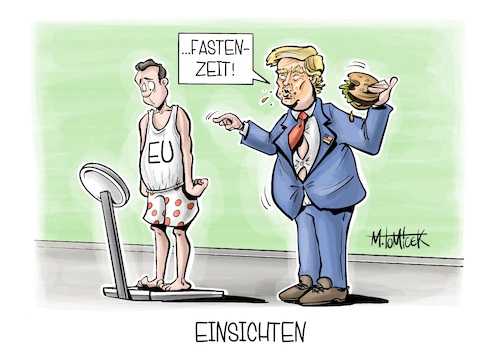 Einsichten