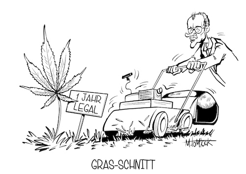 Gras-Schnitt Gras-Schnitt