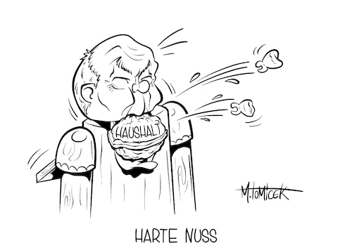 Harte Nuss Harte Nuss