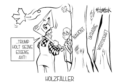 Holzfäller Holzfäller