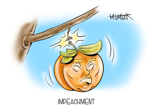 Cartoon: Impeachment (medium) by Mirco Tomicek tagged impeachment,donald,trump,us,usa,president,präsident,wahl,wahlen,präsidentschaftswahl,amerika,joe,biden,amt,amtszeit,amtsenthebungsverfahren,enthebung,enthebungsverfahren,verfahren,peach,debatte,kapitol,capitol,washington,twitter,facebook,social,media,impeachment,donald,trump,us,usa,president,präsident,wahl,wahlen,präsidentschaftswahl,amerika,joe,biden,amt,amtszeit,amtsenthebungsverfahren,enthebung,enthebungsverfahren,verfahren,peach,debatte,kapitol,capitol,washington,twitter,facebook,social,media