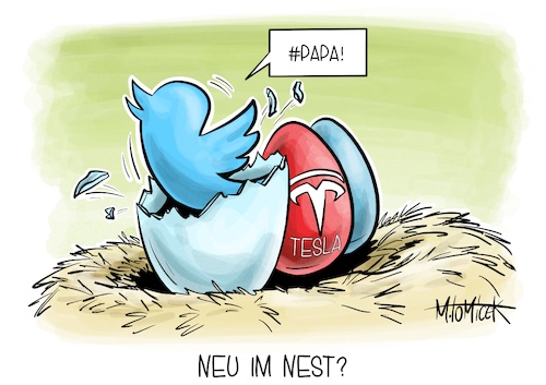 Neu im Nest?