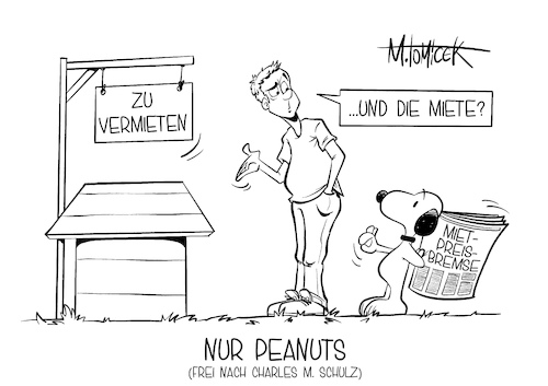Nur Peanuts
