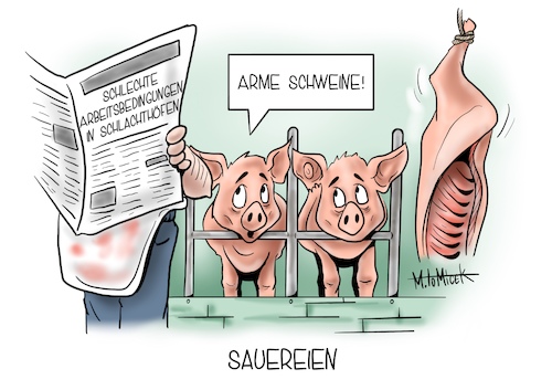 Cartoon: Sauereien (medium) by Mirco Tomicek tagged schlachthof,arbeit,arbeitsbedingungen,schwein,sauereien,schlachthöfe,arbeiter,corona,pandemie,schlachthof,arbeit,arbeitsbedingungen,schwein,sauereien,schlachthöfe,arbeiter,corona,pandemie