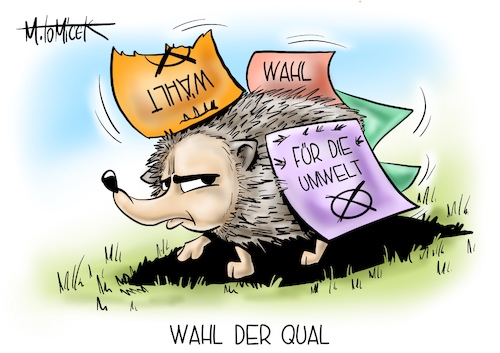 Cartoon: Wahl der Qual (medium) by Mirco Tomicek tagged wahl,wahlen,bundestagswahl,wähler,wahlwerbung,wahlplakate,plakate,wahlkampf,wählerfang,wahlkampftour,poster,werbung,wahlposter,kanzlerkandidat,kanzlerkandidatur,kanzlerfrage,frage,umwelt,umweltschutz,umweltverschmutzung,verschmutzung,natur,naturschutz,tierschutz,tiere,tier,igel,cartoon,karikatur,pressekarikatur,mirco,tomicek,wahl,wahlen,bundestagswahl,wähler,wahlwerbung,wahlplakate,plakate,wahlkampf,wählerfang,wahlkampftour,poster,werbung,wahlposter,kanzlerkandidat,kanzlerkandidatur,kanzlerfrage,frage,umwelt,umweltschutz,umweltverschmutzung,verschmutzung,natur,naturschutz,tierschutz,tiere,tier,igel,cartoon,karikatur,pressekarikatur,mirco,tomicek