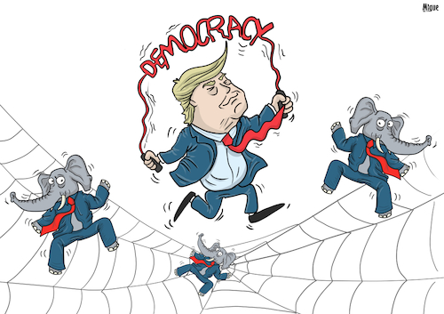 Cartoon: One elephant went out to play (medium) by miguelmorales tagged trump,democarcy,risk,potus,gop,spider,elephant,web,play,us,elections,2020,trump,democarcy,risk,potus,gop,spider,elephant,web,play,us,elections,2020