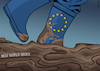 Europe and New World Order