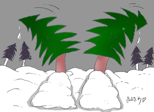 Cartoon: our soldiers froze (medium) by yasar kemal turan tagged our,soldiers,froze