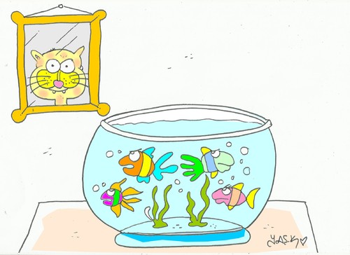 Cartoon: photo (medium) by yasar kemal turan tagged cat,fish,aquarium,photo