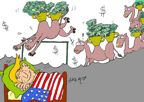 Cartoon: real dreams (medium) by yasar kemal turan tagged real,dreams