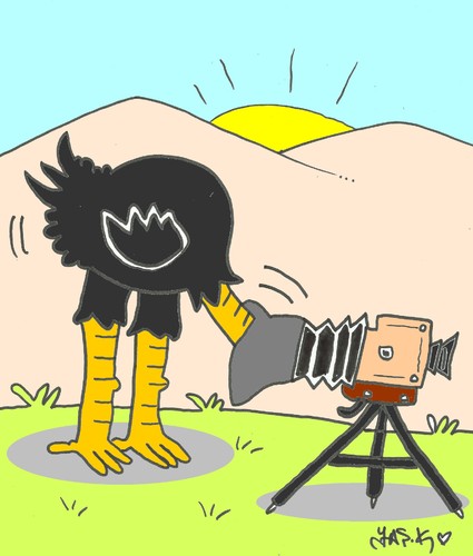 Cartoon: shooting (medium) by yasar kemal turan tagged shooting,camera,ostrich