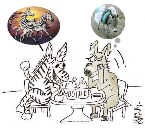 Cartoon: zebra and donkey (medium) by yasar kemal turan tagged donkey,and,zebra