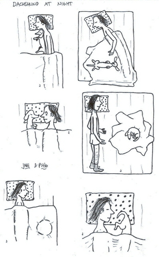 Cartoon: Dachshund at night (medium) by Jani The Rock tagged dachshund,night,sleep,dog,pitko