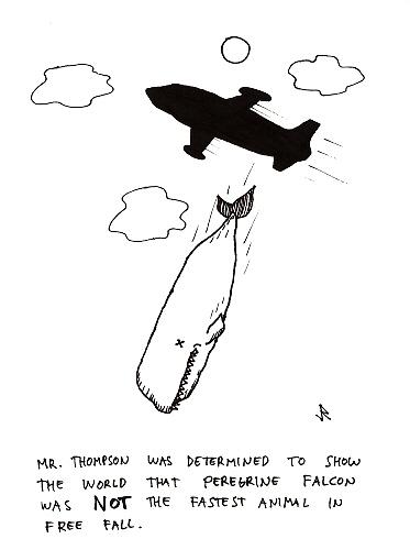 Cartoon: Free fall (medium) by Jani The Rock tagged free,fall,whale,plane,velocity,speed
