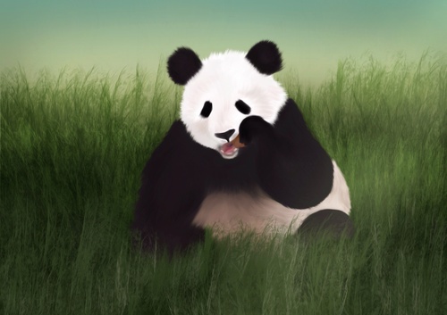 Cartoon: Hungry (medium) by alesza tagged hungry,panda