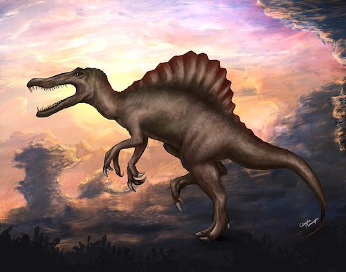 Cartoon: Spinosaurus (medium) by alesza tagged spinosaurus,dinosaurus,digital,painting,illustration,procreate