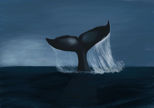 Cartoon: Whale (medium) by alesza tagged blue,ocean,meer,sea,flosse,wal,whale