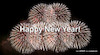 Cartoon: Happy New Year (small) by alesza tagged happy,new,year,firework,photo,photography