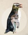 Cartoon: Penguin (small) by alesza tagged penguin,bird,graphic,design,illustration,artwork,colorful,animal