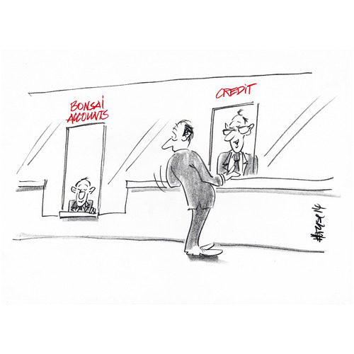Cartoon: Bonsai Account (medium) by helmutk tagged business