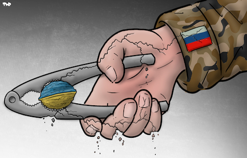 Cartoon: Tough nut (medium) by Tjeerd Royaards tagged ukraine,russia,invasion,resistance,putin,zelensky,war,ukraine,russia,invasion,resistance,putin,zelensky,war