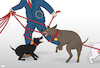 Cartoon: Dog Walker (small) by Tjeerd Royaards tagged eu,catalonia,brexit,chaos,dogs,fighting,conflict,mess